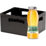 Rauch Jablko 100% džus 24 x 200 ml – Hledejceny.cz