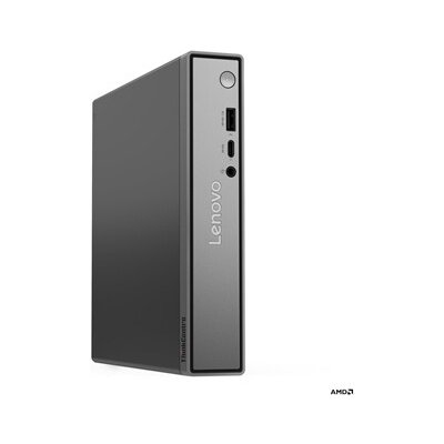 Lenovo ThinkCentre neo 55q 13GN000MCK – Zboží Mobilmania