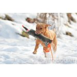 Firedog Wild dummy bažant velký 1800 g – Hledejceny.cz
