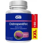 GS Ostropestřec 6500 mg XXL 100 tablet – Hledejceny.cz