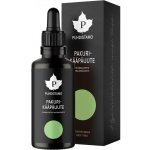 Pakurikääpäuute Puhdistamo Chaga Extract 50 ml – Hledejceny.cz