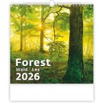 Helma nástěnný Forest/Wald/Les 30 × 30 cm 2026 – Zboží Mobilmania