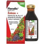 Salus Floradix sirup proti únavě 250 ml – Hledejceny.cz