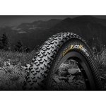 Continental Race King 2.2 ProTection TLR E-285 29x2,20 – Hledejceny.cz