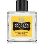 Proraso balzám na vousy 100 ml – Hledejceny.cz