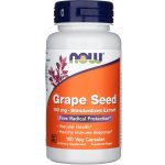 Now Foods Grape seed extract 100 mg x 100 rostlinných kapslí – Hledejceny.cz