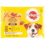 Pedigree Adult ve šťávě hovězí krůtí 4 x 100 g – Hledejceny.cz