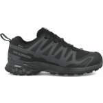 Salomon XA Pro 3D V9 GTX Black/Phantom/Pewter – Hledejceny.cz