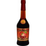 Křivoklátská dezertní medovina Višňová 18% 0,5 l (holá láhev) – Zboží Dáma