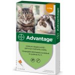 Advantage Spot-on pro malé kočky a králíky 40 mg 4 x 0,4 ml – Zbozi.Blesk.cz