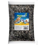 Forestina Slunečnice černá 0,8 kg – Zboží Mobilmania