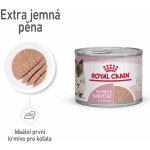 Royal Canin Mother&Babycat mousse 195 g – Hledejceny.cz