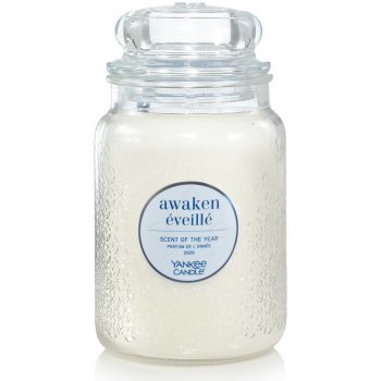 Yankee Candle Awaken 623 g