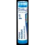 CONIUM MACULATUM POR 9CH GRA 1X4G – Hledejceny.cz