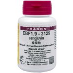 EBF1.9-3129 sang juyin 36 tablet Pragon – Hledejceny.cz