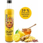 Mixit Ginger Shaman Zázvorový nápoj 0,5 kg – Sleviste.cz