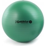 Ledragomma Gymnastik Ball Maxafe 53 cm – Zbozi.Blesk.cz