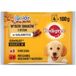 Pedigree Junior v želé kuřecí rýže a hovězí rýže 4 x 100 g – Sleviste.cz