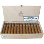 MONTECRISTO PETIT EDMUNDO 25 ks – Zboží Dáma