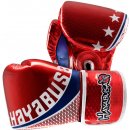  Hayabusa Premium Muay Thai