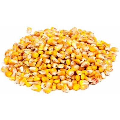 Bocus Kukuřice zrno 25 kg – Zboží Dáma