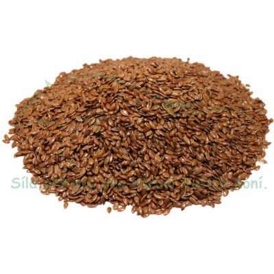 Koňské bylinky Lněné semínko celé 3 kg – Hledejceny.cz