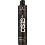 Schwarzkopf Osis Session Label Strong Hold Hairspray 500 ml – Hledejceny.cz