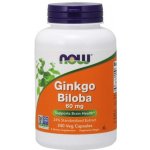 Now Foods Ginkgo Biloba 60 mg 240 kapslí – Hledejceny.cz