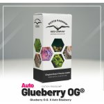 Dutch Passion AUTO Glueberry O.G. semena neobsahují THC 1 ks – Zboží Mobilmania