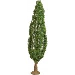 Noch Topol – Zboží Dáma