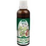 Naděje Hloh tinktura z pupenů rostlin 50 ml – Hledejceny.cz