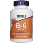 Now Vitamin B6 Pyridoxin 100 mg 250 kapslí – Hledejceny.cz