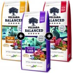 KIWI WALKER Miska pes CHEESE 750 ml – Zbozi.Blesk.cz