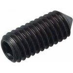 PRUMIX Šroub stavěcí červík M8x10 – Hledejceny.cz