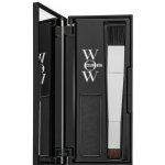 Color WOW Barva na vlasy Pudr na vlasy Black 2,10 g – Zboží Dáma