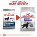 Royal Canin Maxi Sterilised 3 kg – Hledejceny.cz