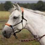 Busse Ohlávka provazová a vodítko TWO TONE Růžová – Zboží Dáma