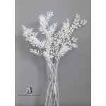 Stabilizovaný ruskus (ruscus) kytice/svazek bělený 120g – Zboží Dáma