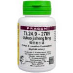 Pragon TL24.9-2709 duhuo jisheng tang 36 tablet – Hledejceny.cz