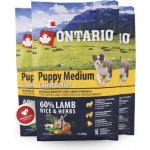 Ontario Puppy Medium Lamb & Rice 2,25 kg – Hledejceny.cz