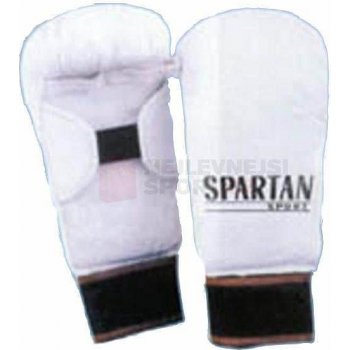 Spartan Sport karate