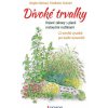 Divoké trvalky - Krásné záhony s planě rostoucími rostlinami, 22 návrhů výsadeb pro každé stanoviště - Kleinod Brigitte, Strickler Friedhelm