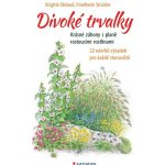 Divoké trvalky - Krásné záhony s planě rostoucími rostlinami, 22 návrhů výsadeb pro každé stanoviště - Brigitte Kleinod; Friedhelm Strickler