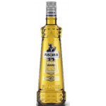 Puschkin Time Warp 17,7% 1 l (holá láhev) – Zbozi.Blesk.cz