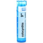 COLOCYNTHIS POR 9CH GRA 1X4G – Hledejceny.cz