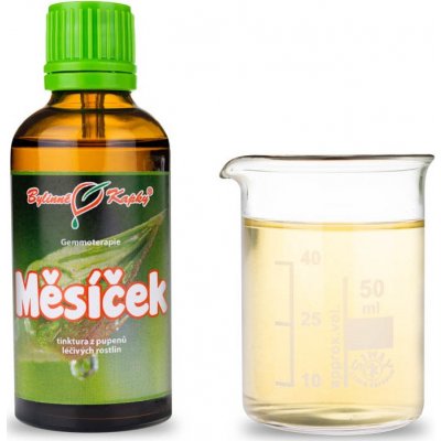 Měsíček tinktura z pupenů gemmoterapie 50 ml – Hledejceny.cz