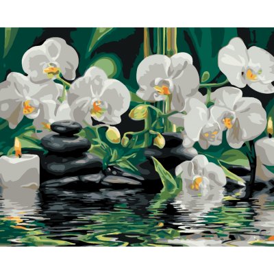 ZUTY Malování podle čísel ORCHIDEJE A LÁVOVÉ KAMENY Rozměr 40 x 50 cm Rámování vypnuté plátno na rám – Zboží Dáma