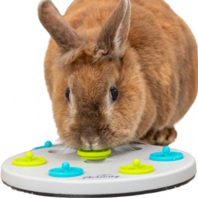 Trixie Odkrývací deska na pamlsky 20 cm – Sleviste.cz