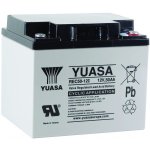 Yuasa REC50-12I 12V 50Ah – Zboží Mobilmania