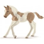 Schleich Hříbě plemene Paint Horse – Zboží Mobilmania